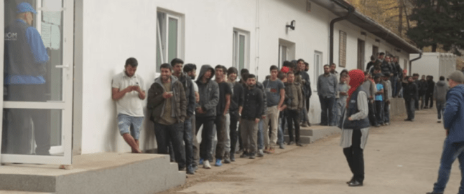 capture-13-845x355-1