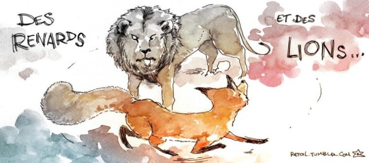 renardsetlions-768x342-1