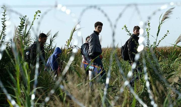 migrants-in-hungary-2015-aug-015-800x475-1