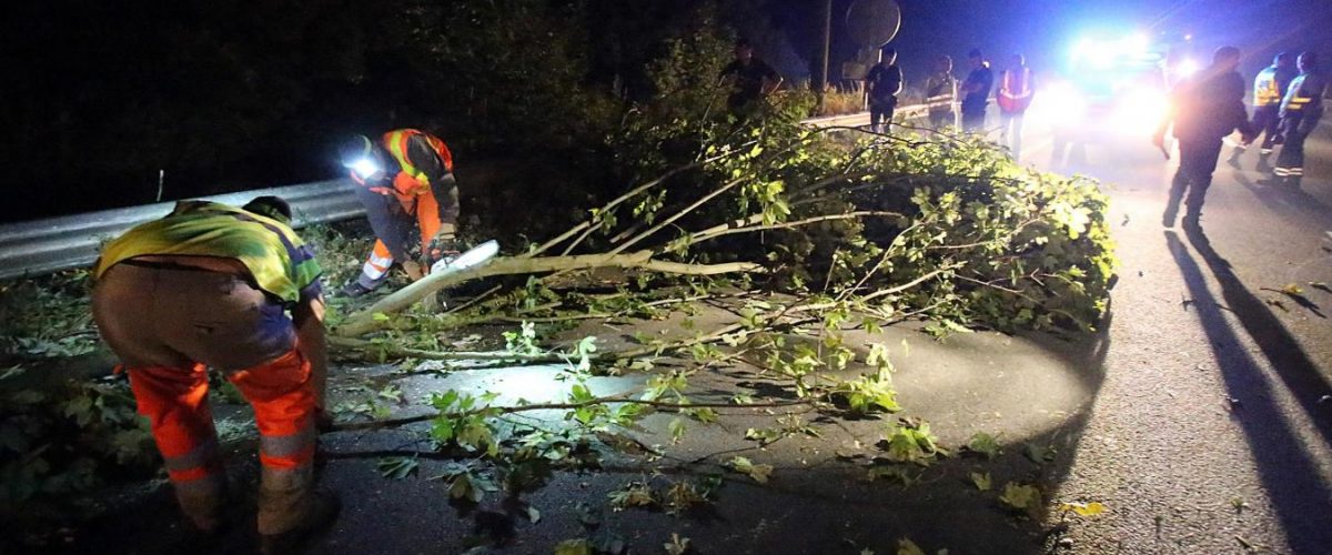 b9729550589z.1_20220107112700_000g0ljl8b5s.1-0-1-1200x500-1