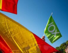 648x360-partisans-vox-lors-manifestation-espagne-illustration-230x180-1