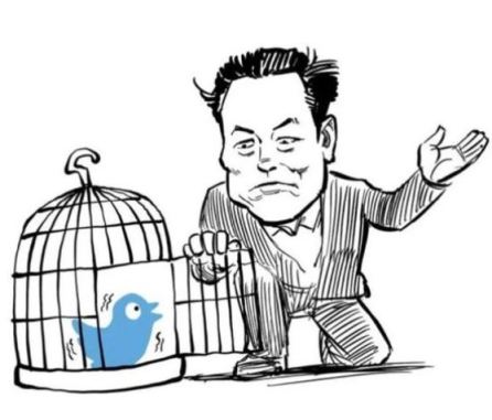 musk-libere-loiseau-bleu-de-twitter