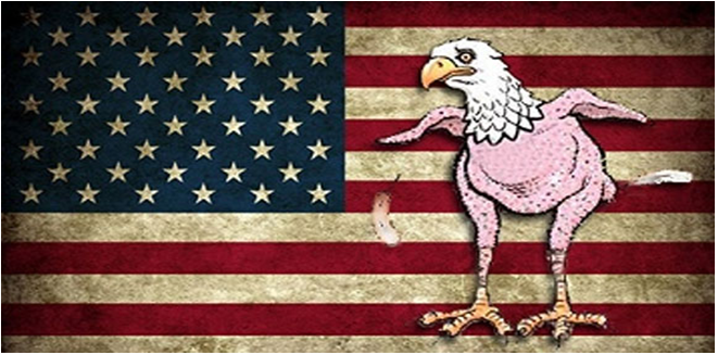 usa-drapeau-aigle-nu