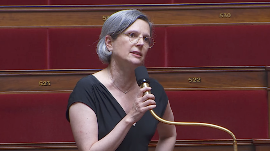 Capture d'écran 
LCP - Assemblée nationale.