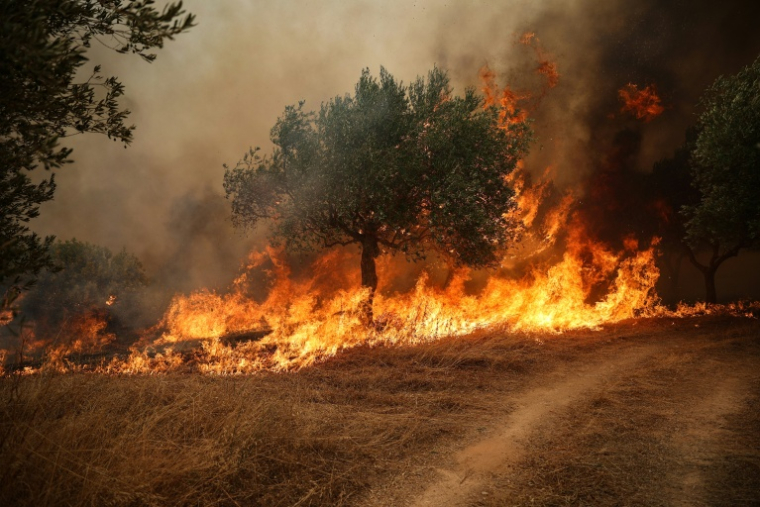Grèce : trois personnes en détention provisoire après l'incendie à l'ouest  d'Athènes