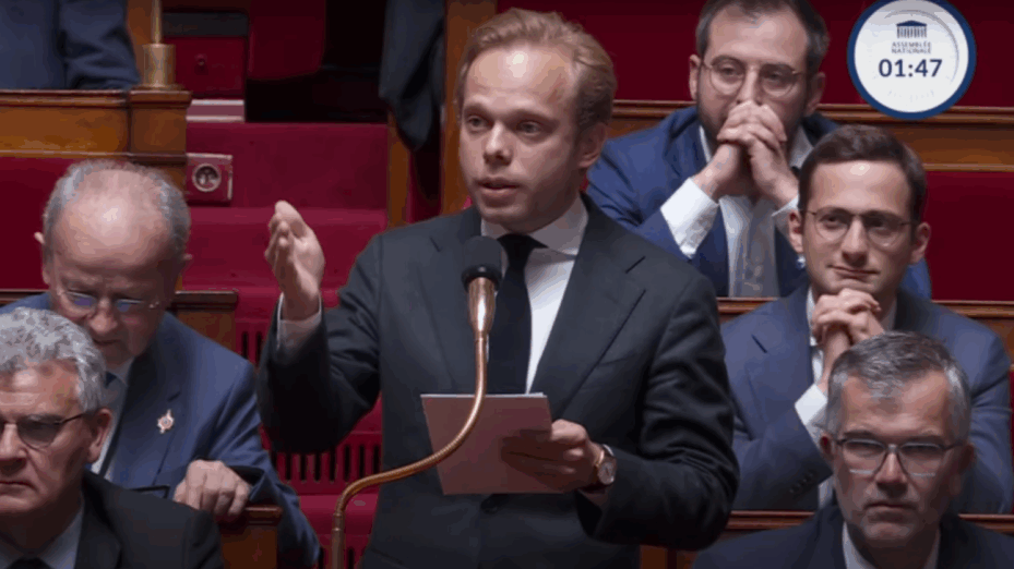 Capture écran Assemblée nationale